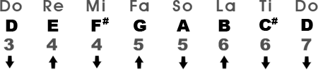 Relative Major Scale in the Key of D